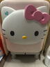石頭迷你洗烘一體機Q1 Hello Kitty限定版 直播間同款 國家補貼 全自動(dòng)內衣滾筒洗衣機XQGH011RR330 曬單實(shí)拍圖