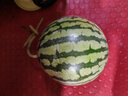 【產(chǎn)地直采】麒麟奶油西瓜 約4.5kg 曬單實(shí)拍圖