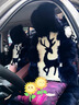 同為 純羊毛汽車(chē)坐墊皮毛一體座墊座套 2025款羊毛長(cháng)毛絨冬季狐貍毛 A款【純羊毛】一路平安-咖啡色 曬單實(shí)拍圖