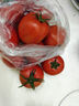 京鮮生沙瓤粉西紅柿 凈重3斤 單果100g+果菜兩吃 源頭直發(fā) 【搜生鮮館】 曬單實(shí)拍圖