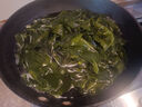 裙帶菜 鮮海帶非干貨海帶嫩苗兒童海菜海白菜海藻菜涼拌 裙帶菜嫩葉250g 曬單實(shí)拍圖