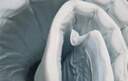MLILY瞇貍學(xué)生宿舍床墊子記憶棉床褥墊單人榻榻米零壓軟薄床墊0.9*1.9m 曬單實(shí)拍圖
