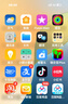 Apple/蘋(píng)果 iPhone 16 Pro Max（A3297）256GB 黑色鈦金屬 支持移動(dòng)聯(lián)通電信5G 雙卡雙待手機 曬單實(shí)拍圖