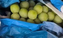 京鮮生陽(yáng)光玫瑰香青提凈重3斤裝單果10g葡萄/提子生鮮水果源頭直發(fā) 曬單實(shí)拍圖