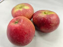 京鮮生四川大涼山丑蘋(píng)果 4.5斤裝單果70-75mm 鹽源丑蘋(píng)果 源頭直發(fā) 曬單實(shí)拍圖