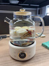 OIDIRE 德國OIDIRE 全玻璃養生壺花茶壺無(wú)膠水煮茶壺煮茶器辦公室花茶養生壺燒水壺電熱水壺燉煮智能保溫 1L ODI-HC01花茶養生壺【不帶濾網(wǎng)】 曬單實(shí)拍圖
