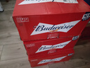 百威（BUDWEISER）經(jīng)典紅罐 淡色拉格 濃郁麥香 聚會(huì )聚餐 中秋送禮 TOP 450mL 20罐 整箱裝 曬單實(shí)拍圖