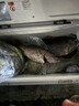 SHIMANO高碳纖維禧瑪諾火血磯釣竿遠投磯釣海岸釣魚(yú)竿泛用竿十大品牌 5.5m 24款FIREBLOOD-550 曬單實(shí)拍圖