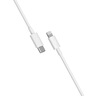 小米蘋果數(shù)據(jù)線100cmPD快充版充電線MFi認證通用iPhoneXsMax/XR/12/13 Type-C to Lightning轉(zhuǎn)接頭線   曬單實拍圖