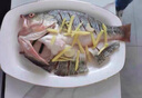 太湖?！緹o(wú)抗或有機認證 淡水鱸魚(yú)】孕婦嬰兒童食輔 鮮活三去魚(yú)類(lèi)水產(chǎn) 【無(wú)抗鱸魚(yú)】200g/條*3條 曬單實(shí)拍圖