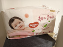 好奇（Huggies）鉑金裝小桃褲成長(cháng)褲XXL74片(15kg以上)尿不濕【消暑散熱】 曬單實(shí)拍圖