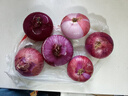 京鮮生 河南紫皮洋蔥帶皮 凈重5斤 單果300g+ 新鮮蔬菜源頭直發(fā) 曬單實(shí)拍圖