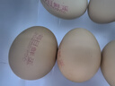德青源PLUS聯(lián)名款A+級鮮雞蛋32枚2.74斤無(wú)抗生素 節日禮盒裝 曬單實(shí)拍圖