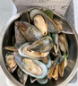 京東超市 海外直采新西蘭青口貝(半殼熟凍)2斤 30-44只 新老包裝隨機發(fā)貨 曬單實(shí)拍圖