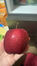 2025年現摘甘肅天水花牛蘋(píng)果脆甜多汁新鮮紅蛇果粉面寶寶輔食包郵 帶箱1斤  果徑65-70mm 曬單實(shí)拍圖
