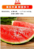 【產(chǎn)地直采】麒麟奶油西瓜 約4.5kg 曬單實(shí)拍圖