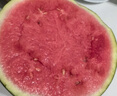 【產(chǎn)地直采】麒麟奶油西瓜 約4.5kg 曬單實(shí)拍圖