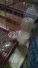 兔子飲水機貓自動(dòng)喂食器狗喝水掛式狗狗喂水寵物貓咪水壺懸掛食盆 象牙白-飲水器+喂食器 曬單實(shí)拍圖