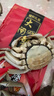 【活蟹】陽(yáng)澄迦大閘蟹 鮮活特大螃蟹公蟹母蟹 海鮮水產(chǎn)生鮮禮盒 公4.0-4.3兩母3.0-3.3兩6只3對 曬單實(shí)拍圖