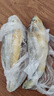 冰鮮部族大黃花魚(yú) 深海大黃魚(yú)海捕活凍鮮活大海魚(yú)鮮海鮮水產(chǎn) 【深海大黃花魚(yú)250g*4條】2斤裝 曬單實(shí)拍圖