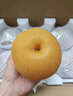 京覓萊陽(yáng)新玉蜜梨 凈重4.5斤 單果300g+脆甜多汁無(wú)渣 新鮮水果源頭直 曬單實(shí)拍圖