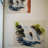 特里·哈里森的水彩課Ⅱ: 描繪風(fēng)景畫(huà)的訣竅 曬單實(shí)拍圖