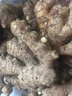 京鮮生云南羅平小黃姜帶泥姜新鮮蔬菜生姜特惠1.8斤源頭直發(fā) 曬單實(shí)拍圖