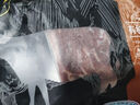 天萊香牛有機健康牛腿肉500g可溯源低溫排酸生鮮牛肉新疆清真【真原切】 曬單實(shí)拍圖