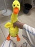奇怪君復讀鴨會(huì )說(shuō)話(huà)的小黃鴨子嬰兒玩具0-1歲鍛煉智力仙人掌跳舞鴨錄音 會(huì )說(shuō)話(huà)的小黃鴨【充電款】 曬單實(shí)拍圖
