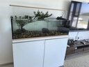 可麗愛魚缸溪流缸水族箱生態(tài)超白玻璃新款全套過濾DX溪流 DXD / DXG*白色 1200*500*1220mm靠墻款 曬單實(shí)拍圖