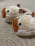 樸西冬季保暖可愛(ài)瘋狂動(dòng)物城土撥鼠棉拖親子款舒棉絨家用防滑棉拖鞋女 淺棕 36-37 成人（240mm） 曬單實(shí)拍圖