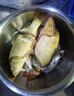 過(guò)江鳳風(fēng)釣魚(yú)鯽魚(yú)餌料冬春季釣魚(yú)魚(yú)餌手竿釣餌誘魚(yú)劑四季通用餌料 3包加強版【特惠裝】更便宜 曬單實(shí)拍圖