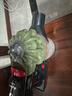 戴森（DYSON）DS20 cyclone 無(wú)繩吸塵器 手持無(wú)線(xiàn)吸塵器 除螨 寵物 家庭適用 曬單實(shí)拍圖