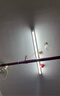 FSL佛山照明 T8燈管 電棒 長(cháng)條燈 LED日光燈管節能燈管雙端供電led燈管家用照明直管 學(xué)校/宿舍/出租屋/工廠(chǎng) T8雙端進(jìn)電led燈管1.2米50W（不含支架） 白光6500K 曬單實(shí)拍圖