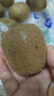 京鮮生 陜西徐香綠心獼猴桃 30粒單果70-90g 新鮮水果 源頭直發(fā) 曬單實(shí)拍圖