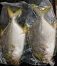 翔泰 海南金鯧魚(yú)凈重900g 2條裝  魚(yú)類(lèi)生鮮 火鍋食材 海鮮水產(chǎn) 中秋 曬單實(shí)拍圖