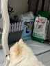 皇家狗糧 成犬狗糧 犬糧 寵物小型犬 PR27 全價(jià)犬糧≥10月2KG 曬單實(shí)拍圖