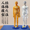 中醫針灸穴位人體模型十二經(jīng)絡(luò )圖全身銅人?？稍樉毩曅∑と舜筇?178cm大字/硬質(zhì)/銅色男模 刻字新工藝 曬單實(shí)拍圖