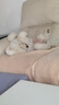 愛(ài)肯拿（ACANA）狗糧 鴨肉梨成犬幼犬 低敏去淚痕 全價(jià)通用原裝進(jìn)口糧2kg效期26/7 曬單實(shí)拍圖