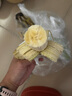 高山精品甜蕉現摘新鮮水果香蕉孕婦寶寶輔食搭配丫丫生鮮特產(chǎn) 2斤帶箱裝【青蕉發(fā)貨】 曬單實(shí)拍圖