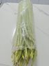 京喜加菜新鮮蒜苔生鮮蔬菜即食涼拌蒜苔 【嘗鮮】1斤 曬單實(shí)拍圖