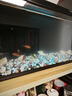 米家（MIJIA）智能生態(tài)魚(yú)缸還原自然生態(tài) 智能魚(yú)缸+濾芯套裝 曬單實(shí)拍圖