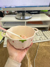 少女心草莓雙耳碗勺湯碗沙拉碗飯碗家用碗高顏值年輕人釉下彩餐具 雙耳碗隨機（1碗1勺） 曬單實(shí)拍圖