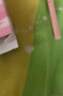gracebabi極細小扁頭眼線(xiàn)膠筆不暈染持久初學(xué)者臥蠶防水新手 柔灰黑單支 曬單實(shí)拍圖