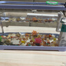 闊庭（KUOTING） 魚(yú)缸懶人魚(yú)缸家用客廳辦公室金魚(yú)缸過(guò)濾魚(yú)缸藍色款 曬單實(shí)拍圖
