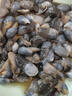 昌鮮園舟山原汁大墨魚(yú)超大新鮮海鮮目魚(yú)鮮活冷凍生鮮目魚(yú)墨魚(yú)仔烏賊整只 【500g-700g/只】特大墨魚(yú)2只 曬單實(shí)拍圖