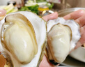 鮮海道 鮮活乳山生蠔5XL 凈重5斤 9-12只 生鮮海鮮貝類(lèi) 源頭直發(fā) 曬單實(shí)拍圖