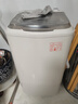 志高【熱銷(xiāo)Top1】脫水機單甩干脫水機干桶甩干機小型迷你家用甩干桶出租房宿舍大容量脫水桶烘干 8.6KG 【不銹鋼桶加厚款】質(zhì)保三年 曬單實(shí)拍圖