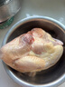 溫氏 供港老母雞凈重3.2斤 富硒農(nóng)家散養(yǎng)走地雞 散養(yǎng)500天以上 冷凍 曬單實(shí)拍圖