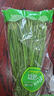 綠色韭菜250g 曬單實(shí)拍圖